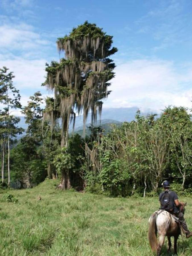 מלון טוריאלבה Hacienda Monteclaro מראה חיצוני תמונה