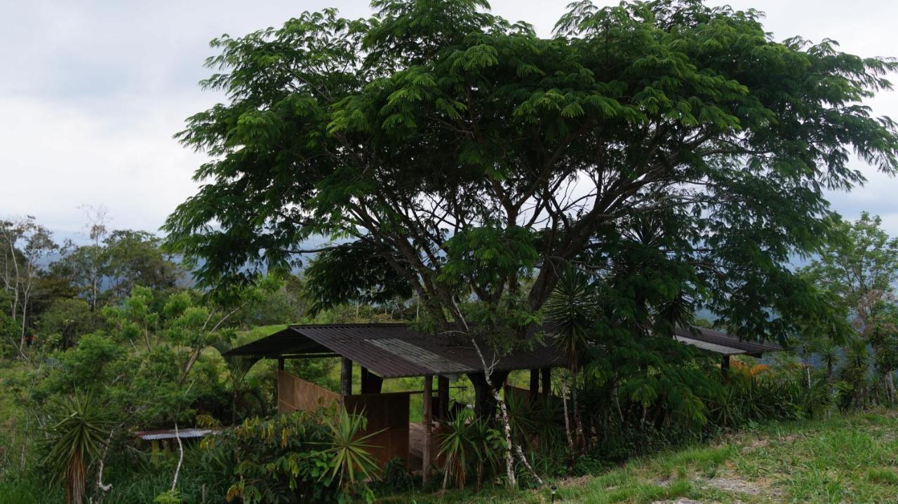 מלון טוריאלבה Hacienda Monteclaro מראה חיצוני תמונה