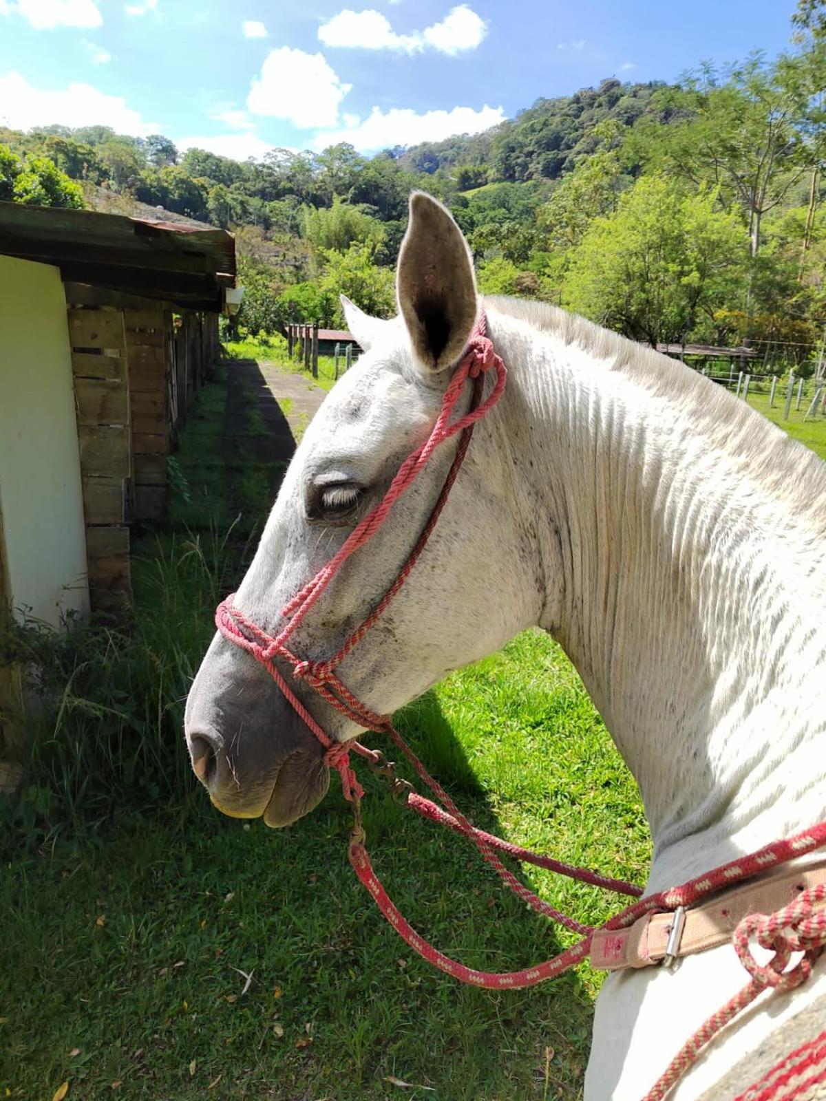 מלון טוריאלבה Hacienda Monteclaro מראה חיצוני תמונה