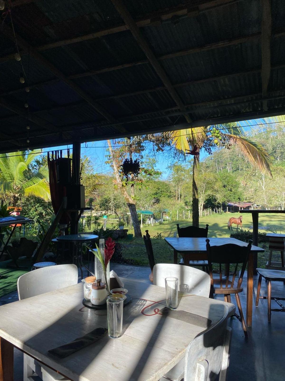 מלון טוריאלבה Hacienda Monteclaro מראה חיצוני תמונה